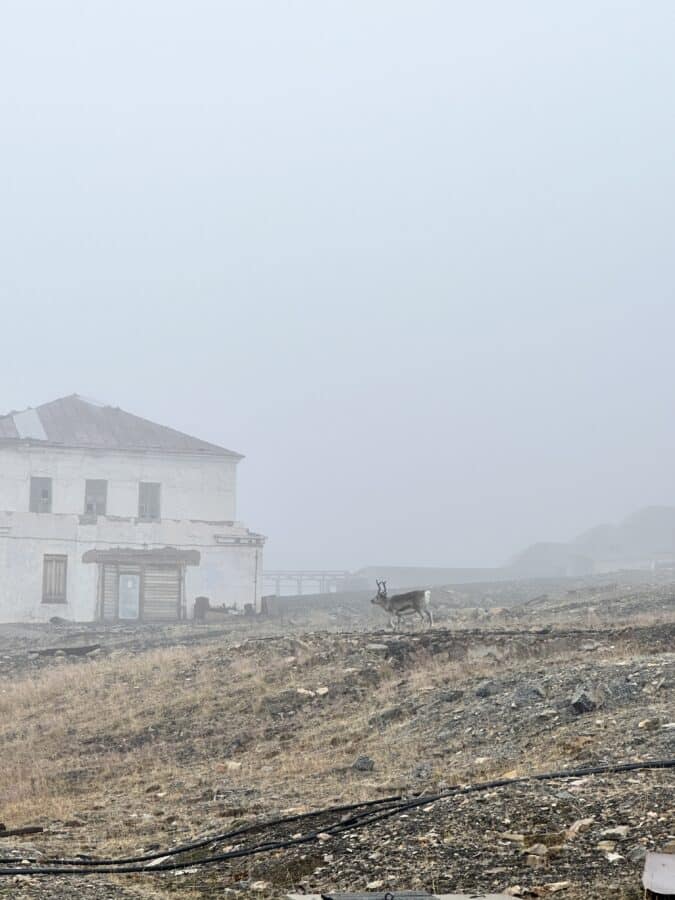 Ghost Towns – preview