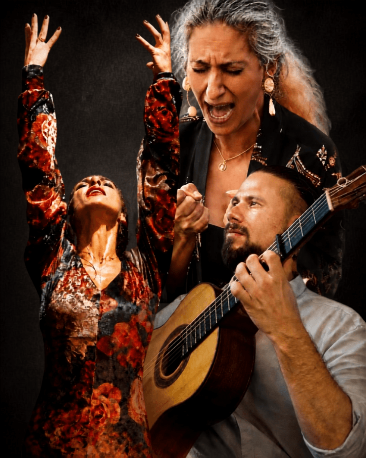 TABLAO FLAMENCO - Batavierhuis